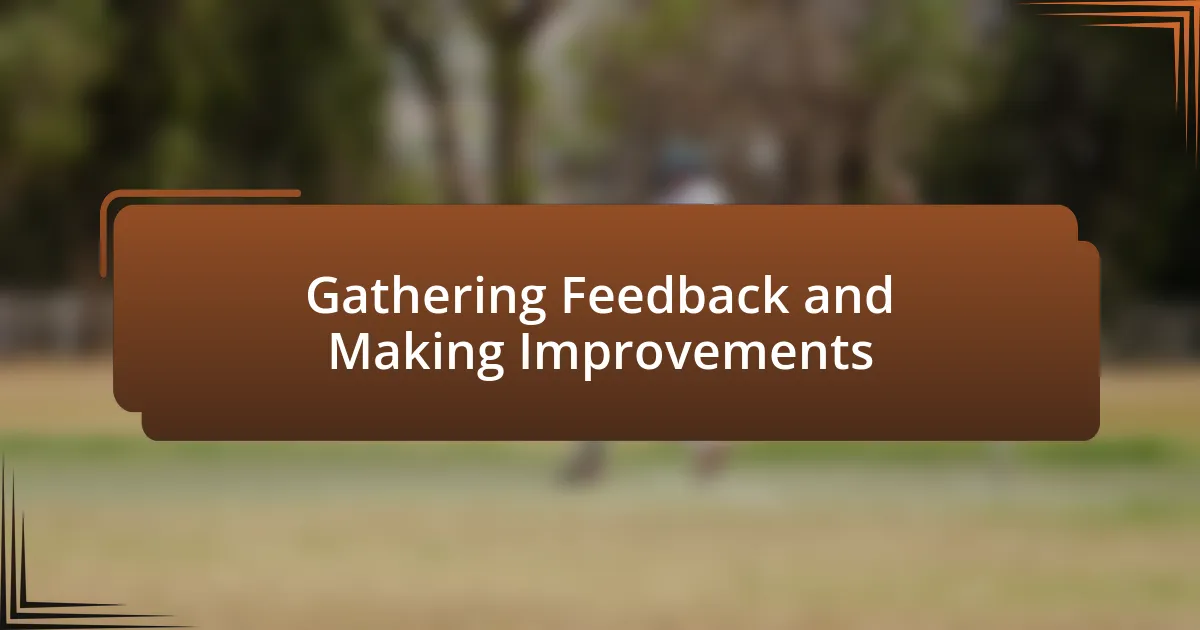 Gathering Feedback and Making Improvements