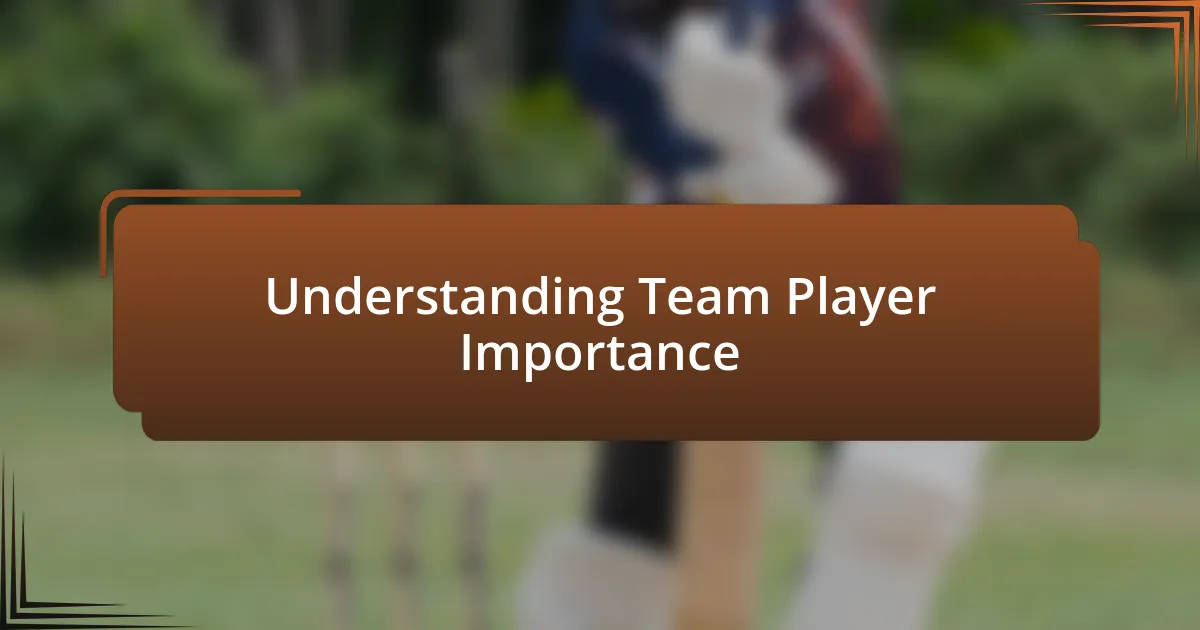 Understanding Team Player Importance