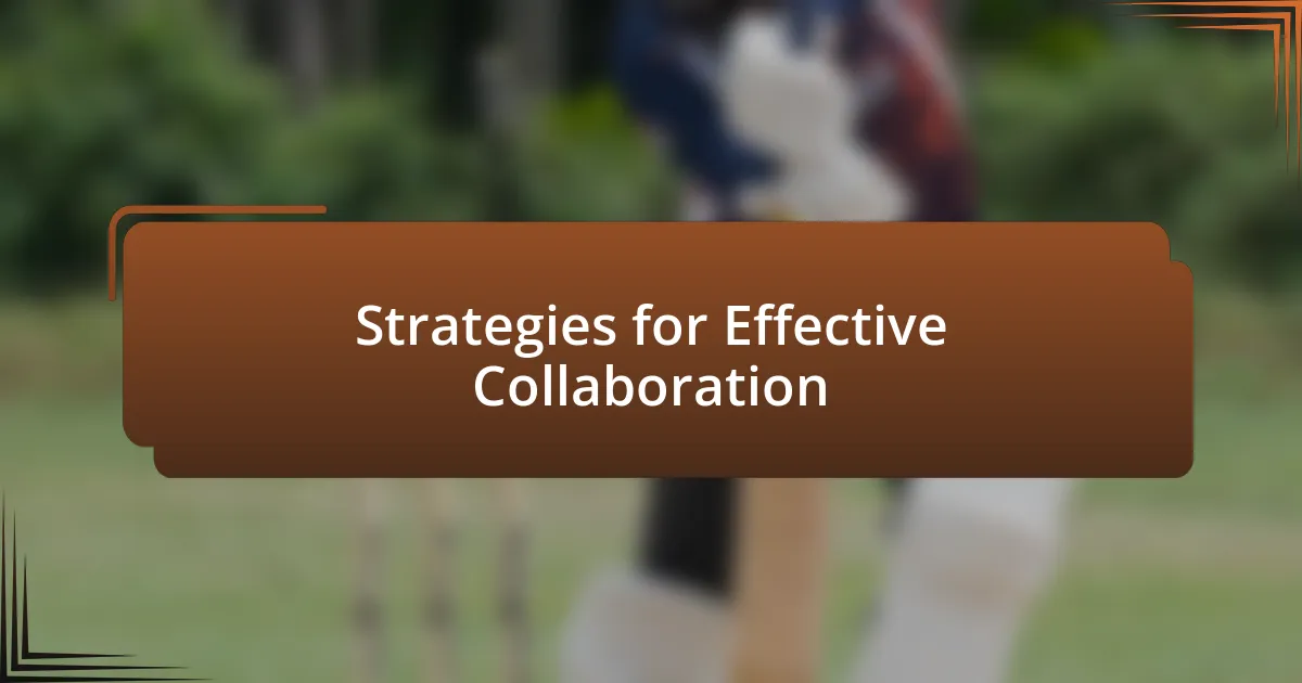 Strategies for Effective Collaboration